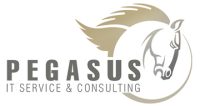 partner_pegasus